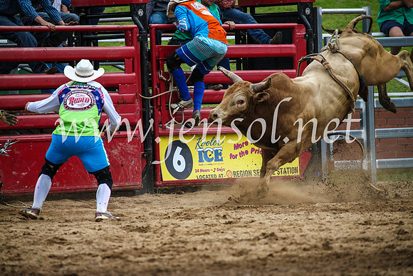 CoomaRodeo2017_1814