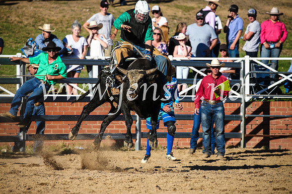 CoomaRodeo2017_2765