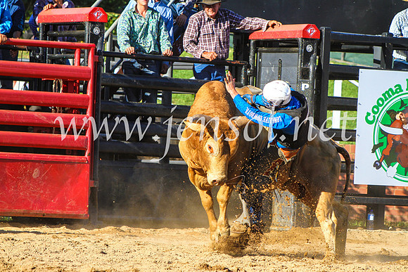 CoomaRodeo2017_9237