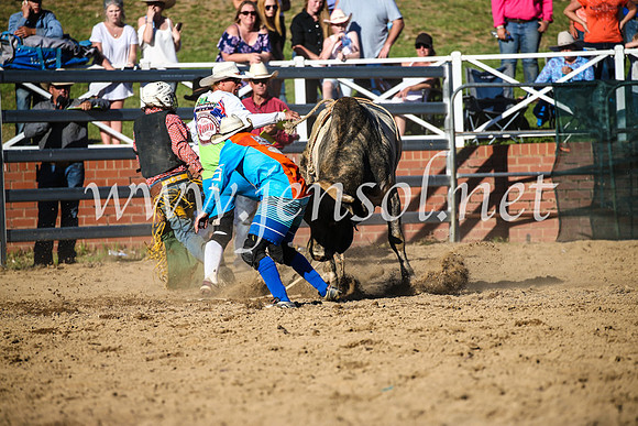 CoomaRodeo2017_2616