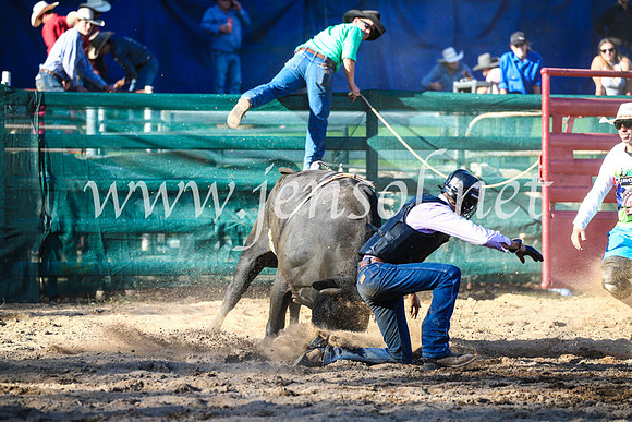 CoomaRodeo2017_2682