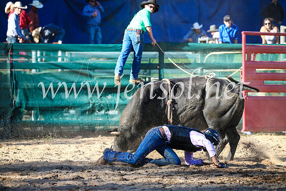 CoomaRodeo2017_2677