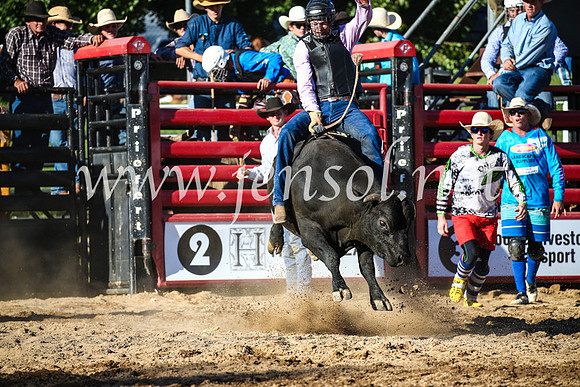 CoomaRodeo2017_2649