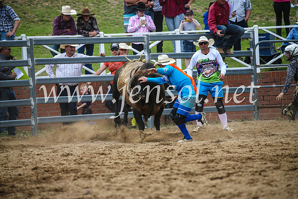 CoomaRodeo2017_1595