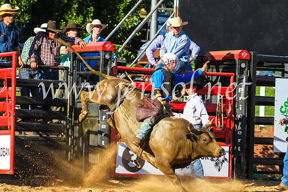 CoomaRodeo2017_9332