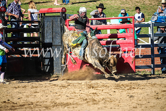 CoomaRodeo2017_2593
