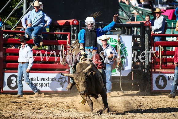 CoomaRodeo2017_2715