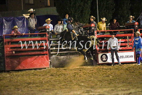 CoomaRodeo2017_4478