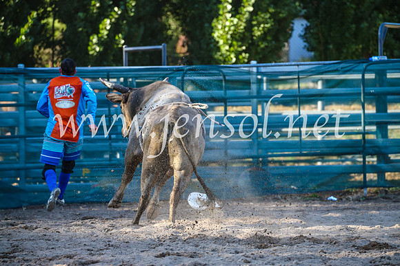 CoomaRodeo2017_2730