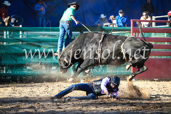 CoomaRodeo2017_2658