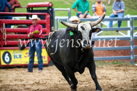 CoomaRodeo2017_1659