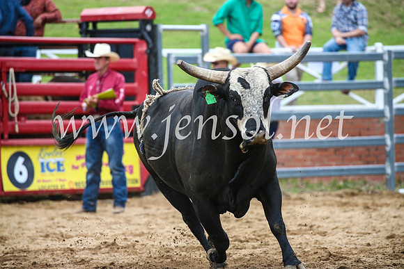 CoomaRodeo2017_1659