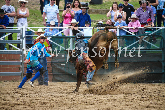 CoomaRodeo2017_1754