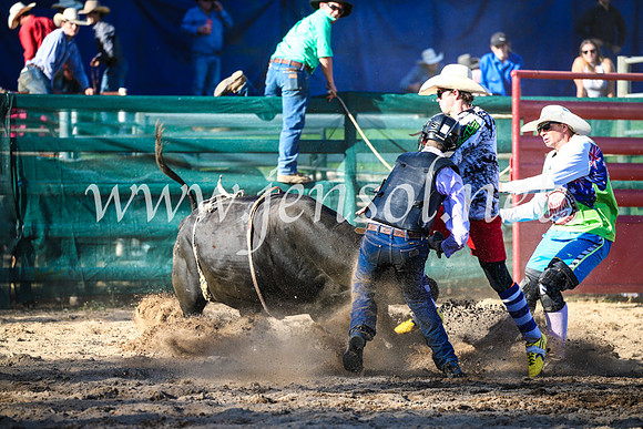 CoomaRodeo2017_2668