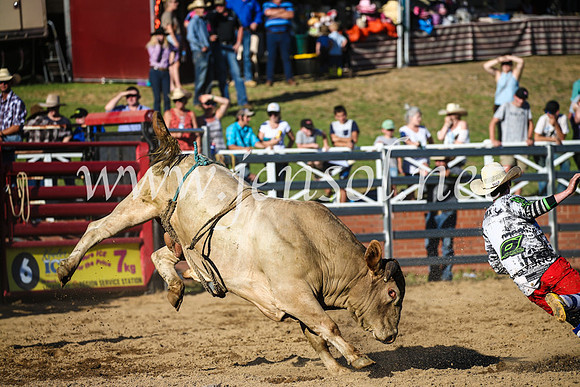 CoomaRodeo2017_2901