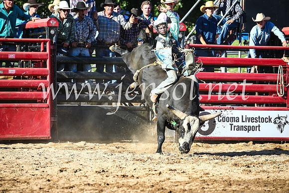 CoomaRodeo2017_2407