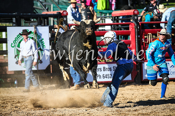 CoomaRodeo2017_2755