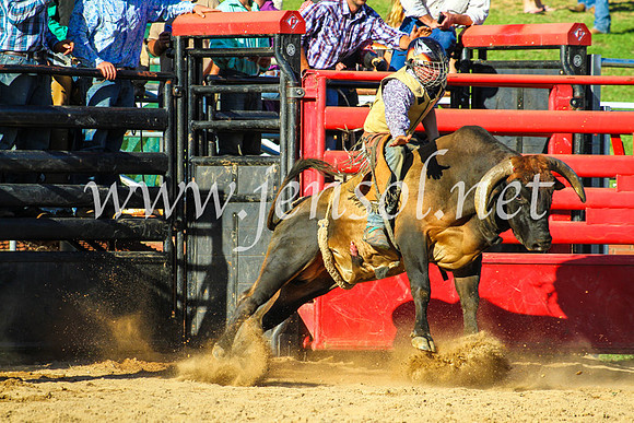 CoomaRodeo2017_9296