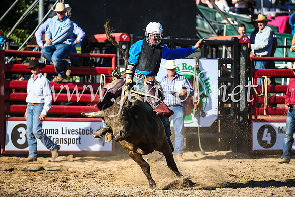 CoomaRodeo2017_2716