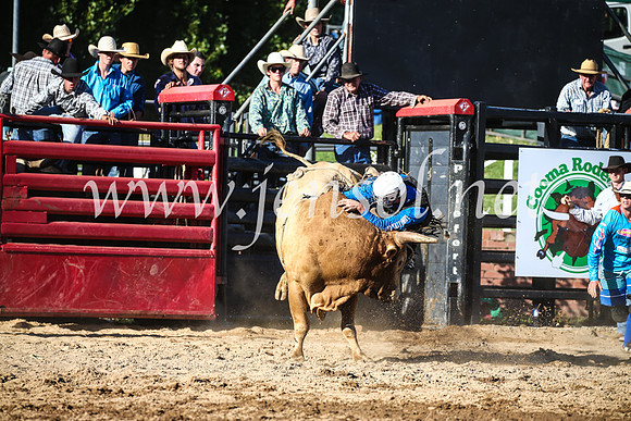 CoomaRodeo2017_2360