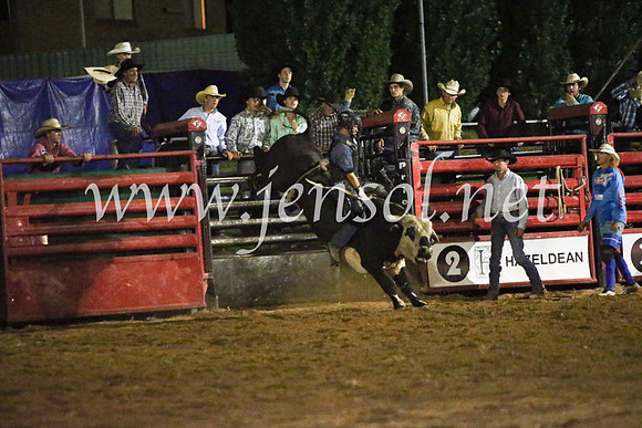 CoomaRodeo2017_4479
