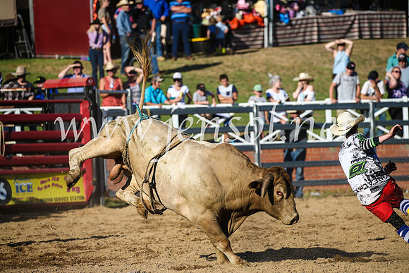 CoomaRodeo2017_2902