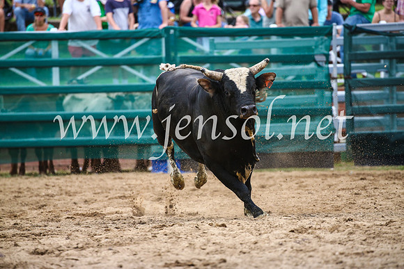 CoomaRodeo2017_1778