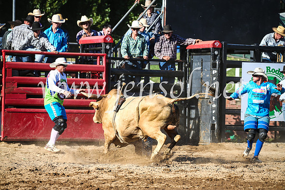 CoomaRodeo2017_2356