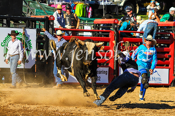 CoomaRodeo2017_9345