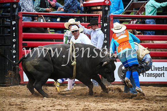 CoomaRodeo2017_1722