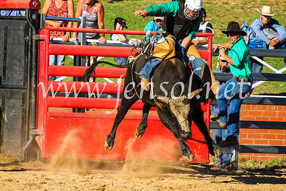CoomaRodeo2017_9352