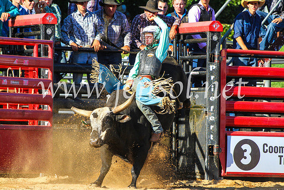 CoomaRodeo2017_9239
