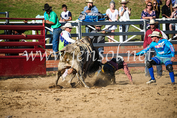 CoomaRodeo2017_2619