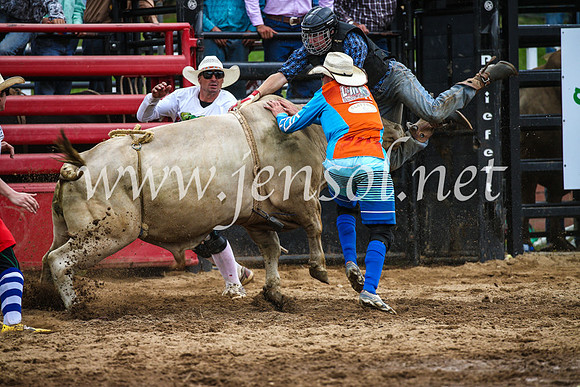 CoomaRodeo2017_1851