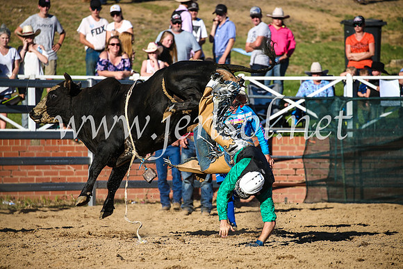 CoomaRodeo2017_2779