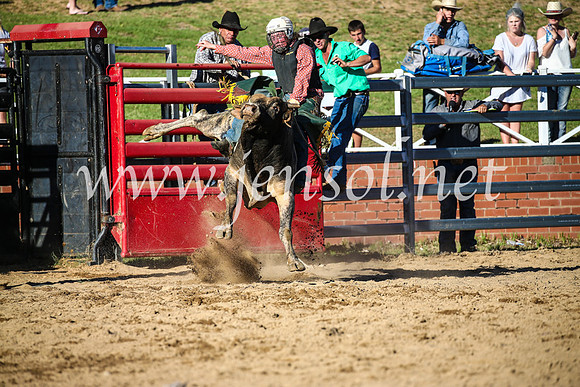CoomaRodeo2017_2608