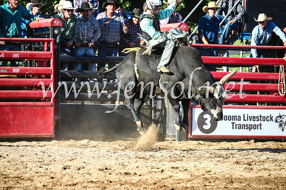 CoomaRodeo2017_2411