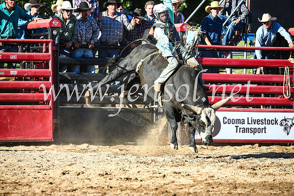 CoomaRodeo2017_2402