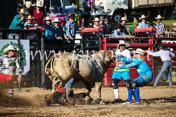 CoomaRodeo2017_2893