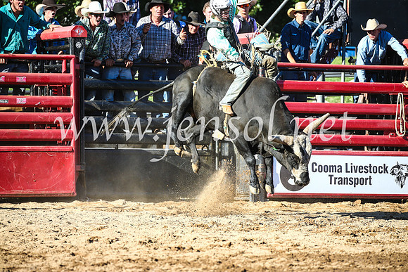 CoomaRodeo2017_2406