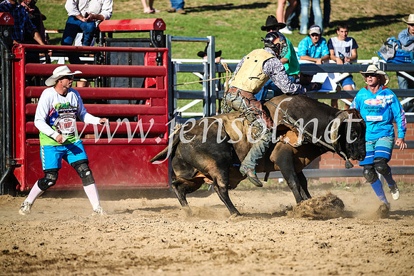 CoomaRodeo2017_2575