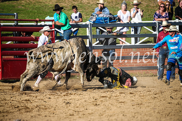 CoomaRodeo2017_2598