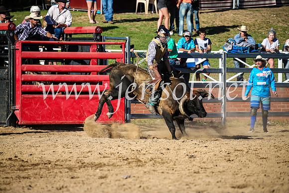 CoomaRodeo2017_2550