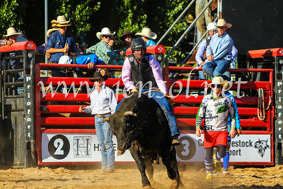 CoomaRodeo2017_9317