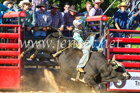 CoomaRodeo2017_9246