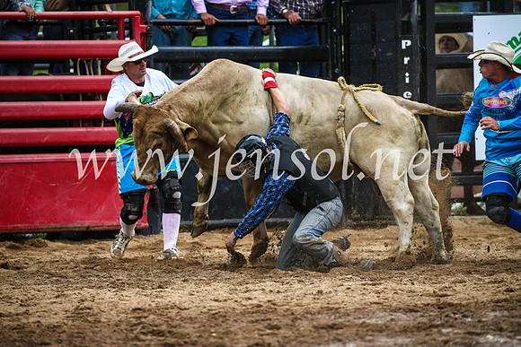 CoomaRodeo2017_1853