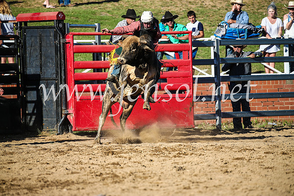 CoomaRodeo2017_2605