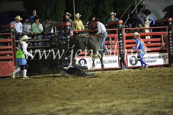CoomaRodeo2017_4493