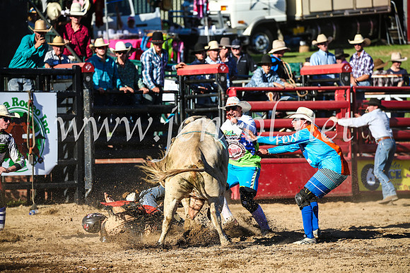 CoomaRodeo2017_2895