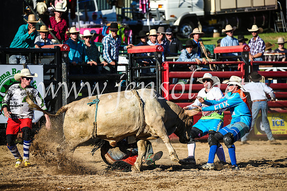 CoomaRodeo2017_2876
